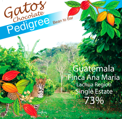 Guatemala 73% Finca Ana Maria, Single Estate