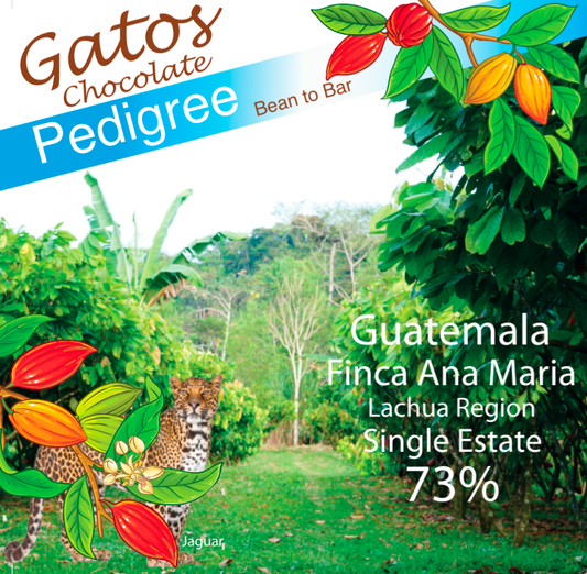 Guatemala 73% Finca Ana Maria, Single Estate