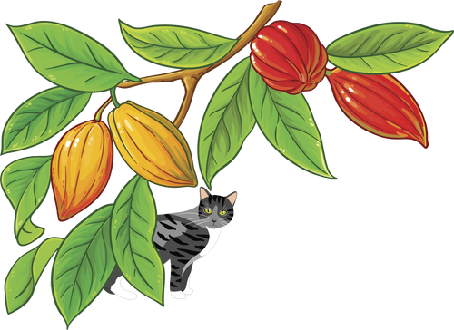 Gatos Chocolate